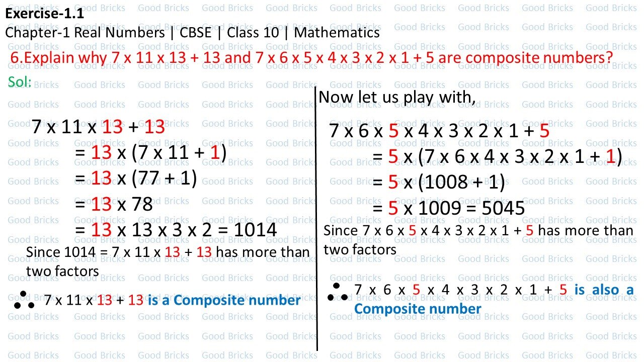 Chapter-1-Real numbers-excercise1.1-6