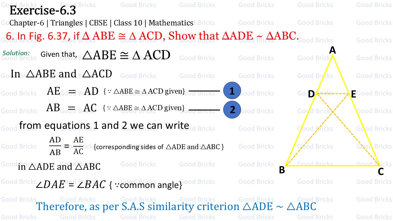 Chapter-6-Triangles-exercise6.3-6