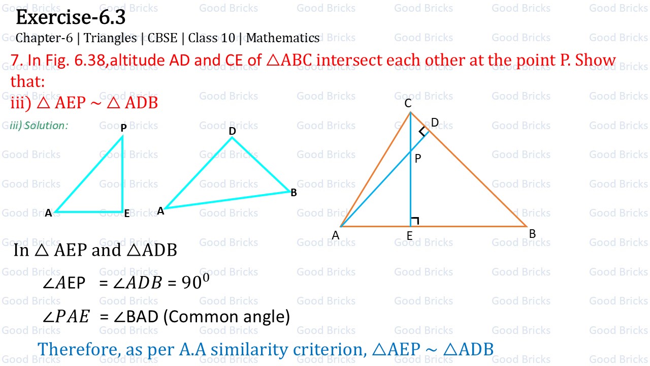 Chapter-6-Triangles-exercise6.3-7-(iii)