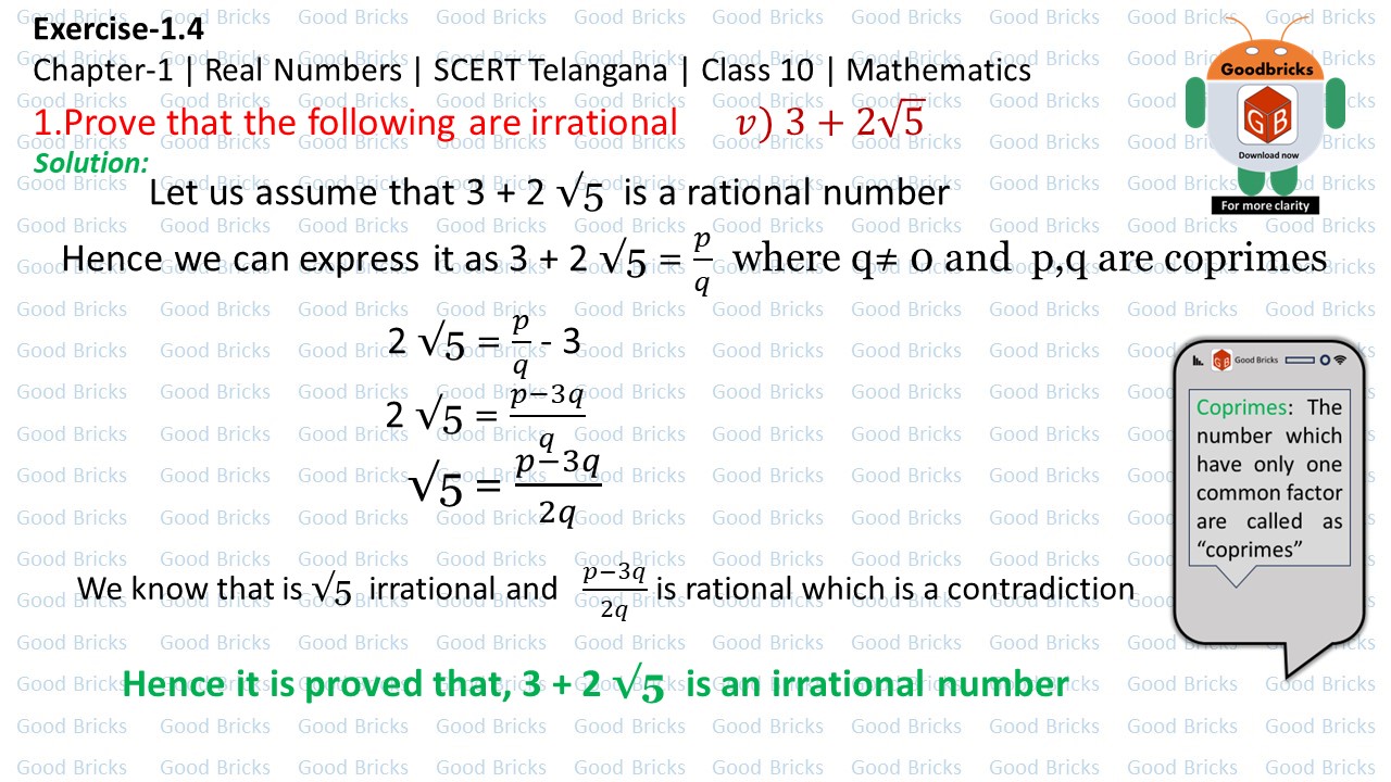Chapter-1-Real Numbers-exercise1.4-1(v)